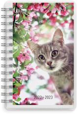 Pets 4i1 Compact 2022-2023