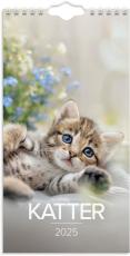 Liten kattkalender 2025