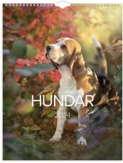 Stora Hundkalendern 2024