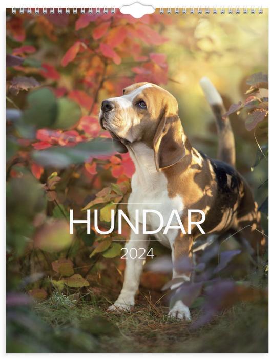 Stora Hundkalendern 2024