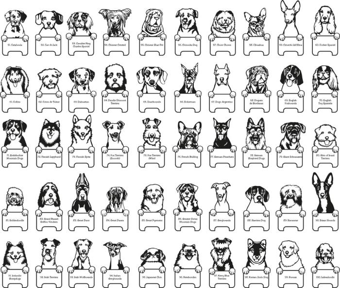Mobilhållare med namn - Hund