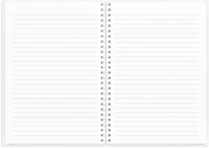 Kalender Senator A5 4i1 2025-2026