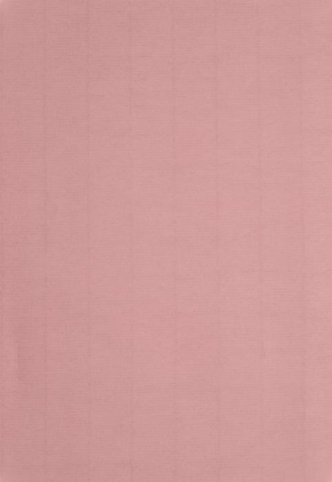 A4 Papper 50-pack 110g Dimrosa