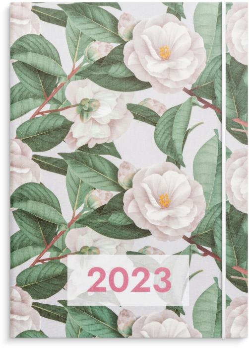Senator A6 Flora 2023