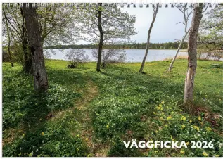 Väggficka 2026