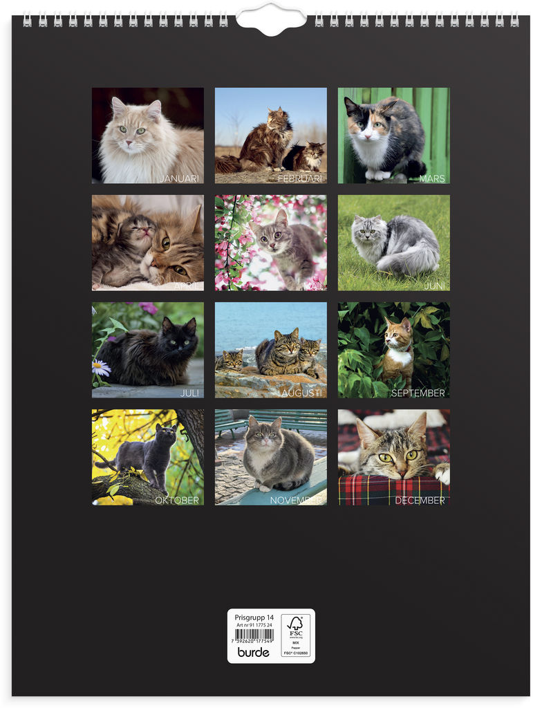 2024 Kitty Kalender, 2024 Väggkalender, Kattkalender, 2024 Väggplanerare  2024 f711, 2024