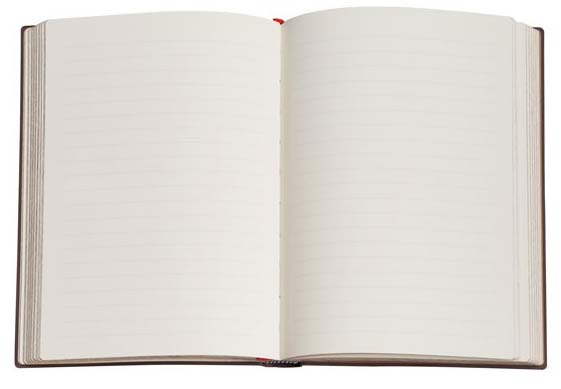 Paperblank Notebook Midi lined Van Gogh´s Irises