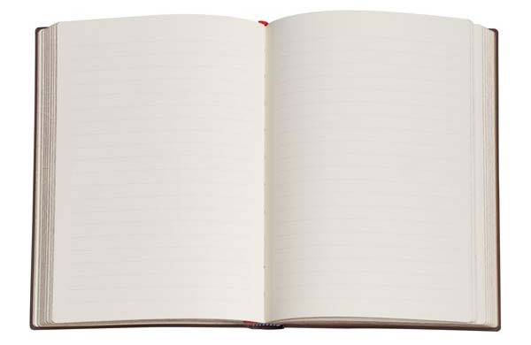 Paperblank Notebook Midi lined Wilde