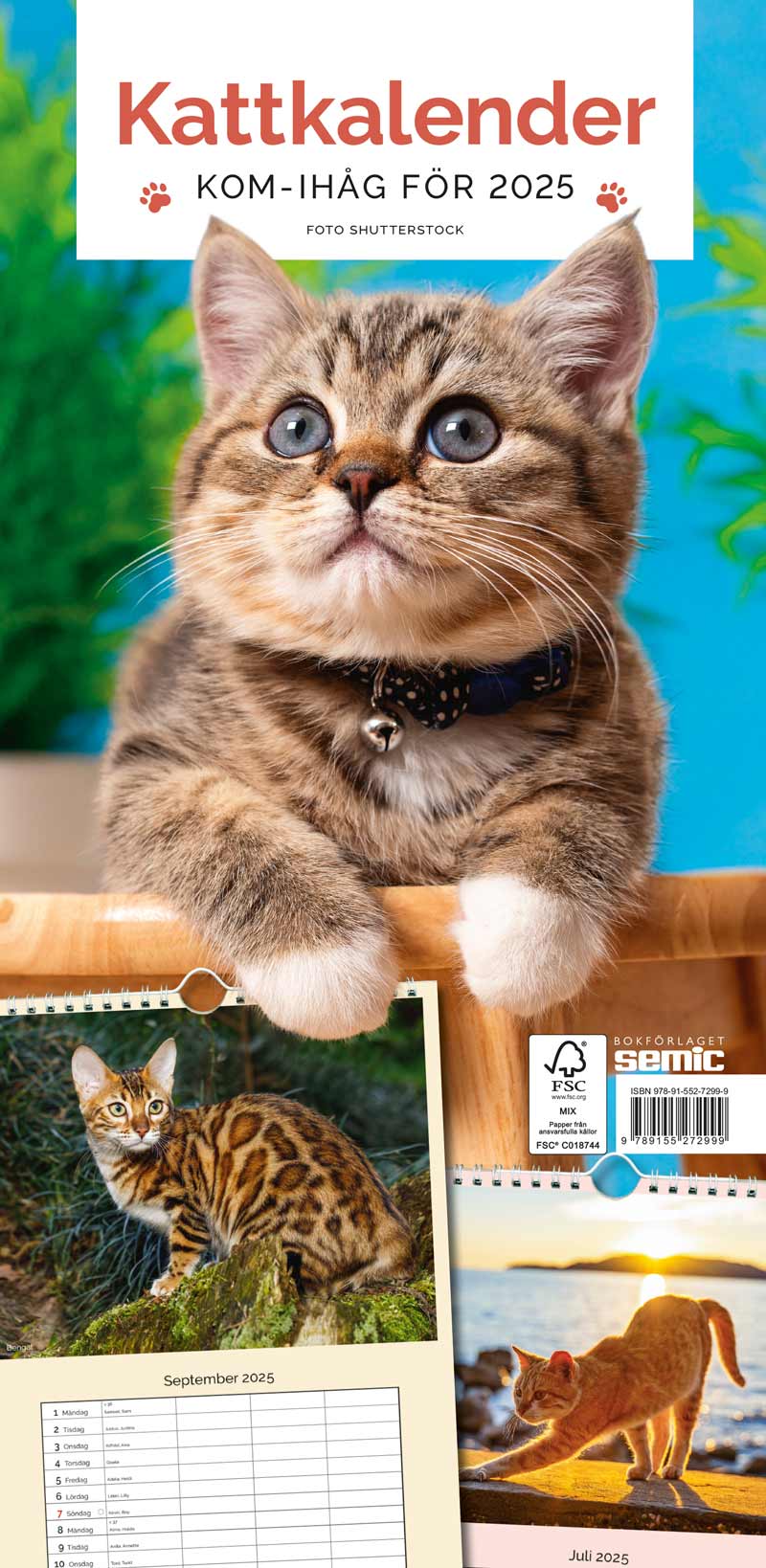 Kattkalender 2025